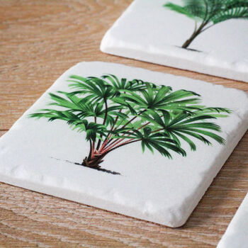 Set Of Four Fern Coasters, 6 of 6