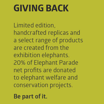 Hand Painted Travel Celebration Elephant 'The Journey', 11 of 12