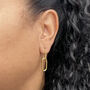 Contrasting Double Link Earrings, thumbnail 1 of 7