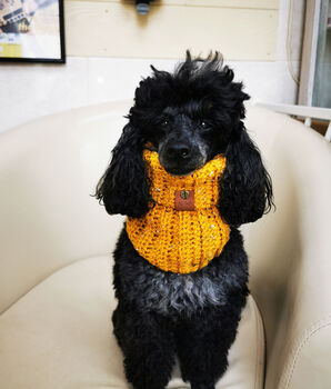 Mustard Flecks Roll Top Dog Snood, 5 of 6