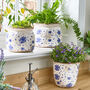 Blue Rose Ceramic Planters, thumbnail 1 of 4