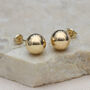 9ct Yellow Gold Spanish Ball Stud Earrings, thumbnail 5 of 10