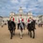 Household Cavalry Museum And Lunch, thumbnail 1 of 9