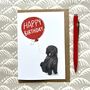 Spanish Water Dog Greetings Card, thumbnail 2 of 5