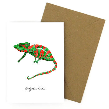 Camouflage Cape Dwarf Chameleon Greetings Card, 4 of 7