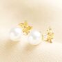 Cubic Zirconia Starfish Stud Earrings With Pearl Backs, thumbnail 2 of 6