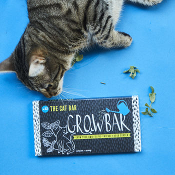 Grow Your Own Cat Friendly Garden With Growbar, 2 of 4