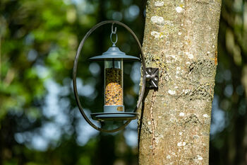 Larch Twilight Bird Feeder, 2 of 3