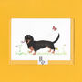 Darcy The Dachshund Illustrated Blank Greeting Card, thumbnail 4 of 10