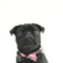 The Chelsea Pink And Green Floral Dog Collar Bow Tie, thumbnail 2 of 4