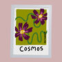 October Birth Flower Cosmos Print, thumbnail 3 of 3