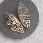 Statement Large Butterfly Wing Studs, thumbnail 1 of 4