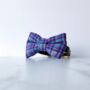 Sabini Purple Harris Tweed Dog Bow Tie, thumbnail 4 of 7