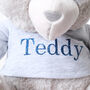 Personalised Teddy Bear Soft Toy, thumbnail 2 of 3