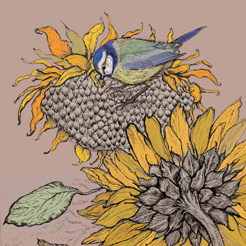 'Blue Tit And Sunflower' Print, 2 of 3
