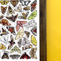 Moths Of Britain Wildlife Print, thumbnail 5 of 10