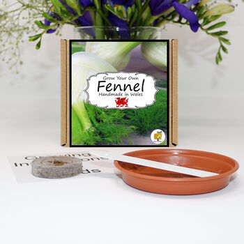 Herb Garden Fennel Growing Kit. Gardening Gift, 2 of 4