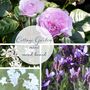 Cottage Garden Flower Design Kit, thumbnail 3 of 9