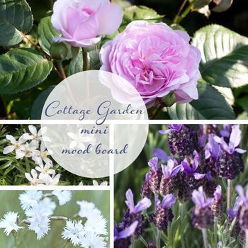 Cottage Garden Flower Design Kit, 3 of 9