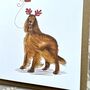 Irish Setter Christmas Card, thumbnail 2 of 2