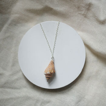 Natural Shell Ocean Sterling Silver Necklace, 3 of 5