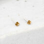 Mini Sterling Silver Citrine Stud Earrings, thumbnail 1 of 6