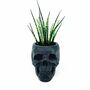 Skull Planter With Plant, thumbnail 2 of 3