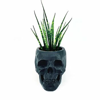 Skull Planter With Plant, 2 of 3