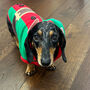 Christmas Elf Miniature Dachshund Jumper, thumbnail 2 of 3