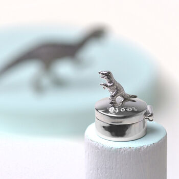 Tooth Fairy Box For Girls Or Dinosaur For Boys, 4 of 6