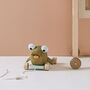 Otto The Mudskipper Pull Along Toy, thumbnail 6 of 6