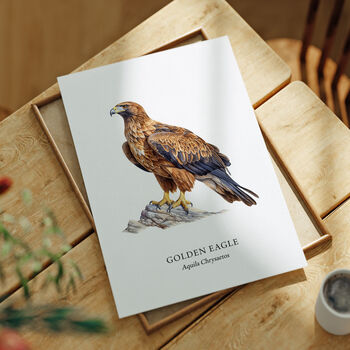 Bird Wall Art Of Golden Eagle, 5 of 6