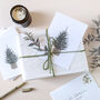 'Simple Christmas Tree' Pack Of Six Flat Notecards, thumbnail 4 of 5
