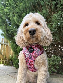 Berry Blossom Floral Dog Harness, 6 of 7