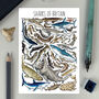 Sharks Of Britain Watercolour Postcard, thumbnail 1 of 8