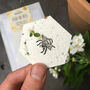 'Feed The Bees' Plantable Seed Paper Bee Hexagons, thumbnail 2 of 9