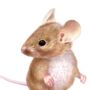 Illustrated Mouse Print, thumbnail 2 of 3