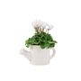 Ceramic Watering Can With Cyclamen Plant Gift, thumbnail 3 of 4