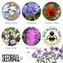 Wildflower Seed Ball Tubes Set Of Five, thumbnail 11 of 12