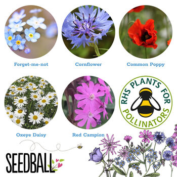 Wildflower Seed Ball Tubes Set Of Five, 11 of 12