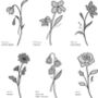 Birth Flower Painted Wall Art, thumbnail 5 of 6