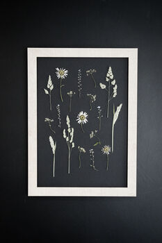 Daisy Haze Botanical Wall Art – A3 Pressed Flower Frame In Sand, 2 of 7