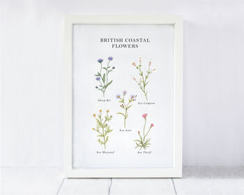 British Coastal Flowers Art Print, 4 of 4