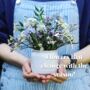 'The Botanical' Mini Posy Fresh Flower Subscription, thumbnail 2 of 8