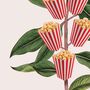 Popcorn Movie Poster Botanical Print, thumbnail 11 of 11