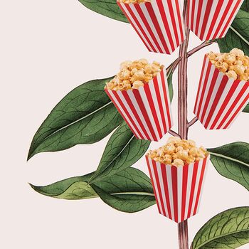 Popcorn Movie Poster Botanical Print, 11 of 11