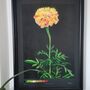 'Marigold' Large Original Handmade Botanical Study, thumbnail 4 of 12
