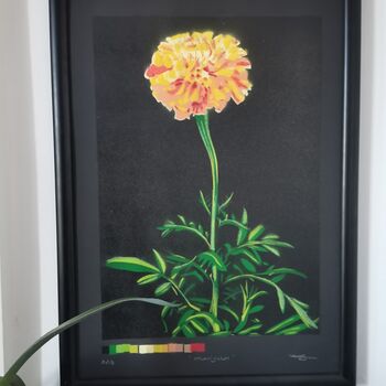 'Marigold' Large Original Handmade Botanical Study, 4 of 12