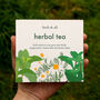 Grow Your Own Herbal Tea Seed Box, thumbnail 1 of 10