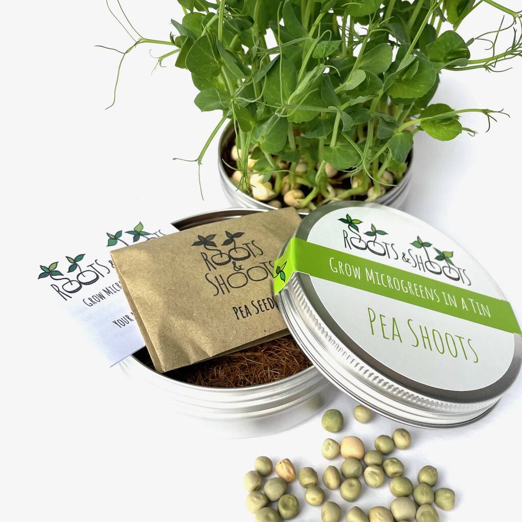 Back to The Roots - Microgreen Seed Packets - Shades of Green Bundle - Includes Sunflower, Pea Shoot, Radish, Wheatgrass Seeds